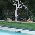 Sardinia Park Country Appartement Olbia