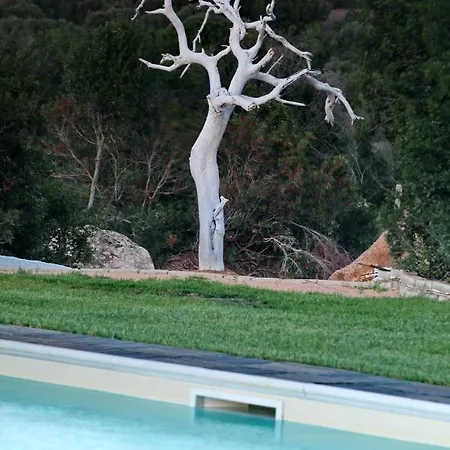 Sardinia Park Country 아파트 올비아