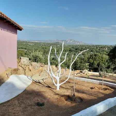 Sardinia Park Country Διαμέρισμα Όλμπια